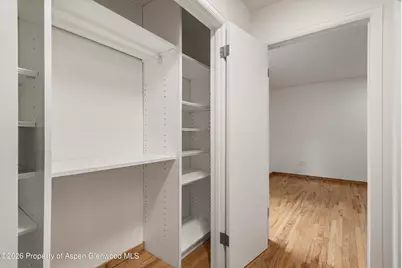 415 Pacific Avenue #C, Aspen, CO 81611 - Photo 10