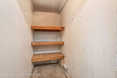415 Pacific Avenue #C, Aspen, CO 81611 - Photo 12