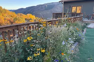 824 N Traver Trail, Glenwood Springs, CO 81601 - Photo 2