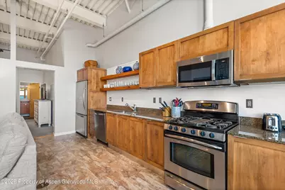 231 Robinson Street #310, Basalt, CO 81621 - Photo 4