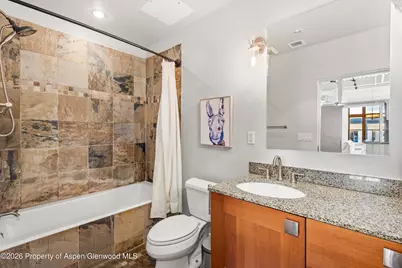 231 Robinson Street #310, Basalt, CO 81621 - Photo 10