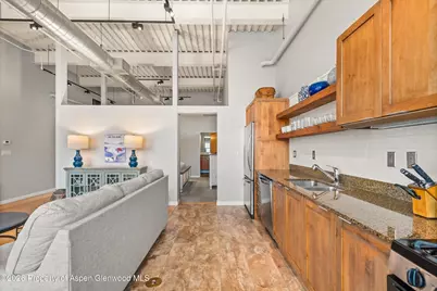 231 Robinson Street #310, Basalt, CO 81621 - Photo 8