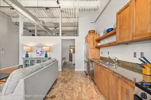 231 Robinson St, Basalt, CO 81621 - Photo 8
