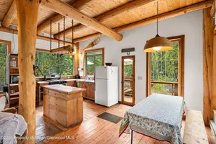26608 Frying Pan Rd, Thomasville, CO 81642 - Photo 18