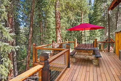 26608 Frying Pan Road, Thomasville, CO 81642 - Photo 14