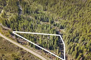 26608 Frying Pan Rd, Thomasville, CO 81642 - Photo 4