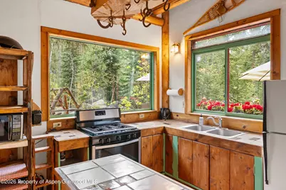 26608 Frying Pan Road, Thomasville, CO 81642 - Photo 20
