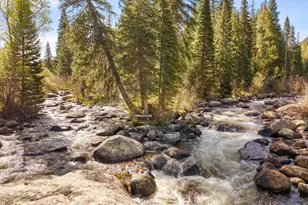 26608 Frying Pan Rd, Thomasville, CO 81642 - Photo 6