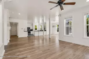 355 Meadow Dr, Basalt, CO 81621 - Photo 4