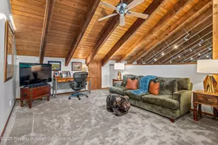 477 Aspen Oak Dr, Aspen, CO 81611 - Photo 24