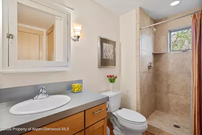 707 Shield O Road, Snowmass, CO 81654 - Photo 22