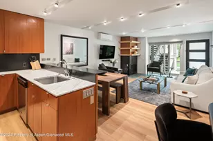 100 E Dean St, Aspen, CO 81611 - Photo 4