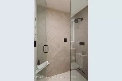 205 E Durant Avenue #1-I, Aspen, CO 81611 - Photo 22
