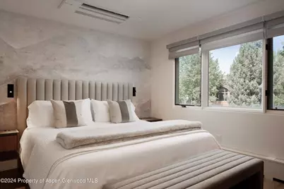 205 E Durant Avenue #1-I, Aspen, CO 81611 - Photo 18