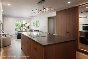 205 E Durant Ave, Aspen, CO 81611 - Photo 14