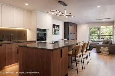 205 E Durant Avenue #1-I, Aspen, CO 81611 - Photo 2