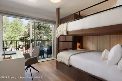 205 E Durant Avenue #1-I, Aspen, CO 81611 - Photo 26