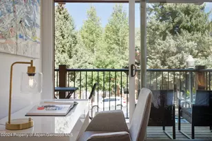 205 E Durant Ave, Aspen, CO 81611 - Photo 24