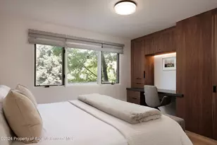 205 E Durant Ave, Aspen, CO 81611 - Photo 16