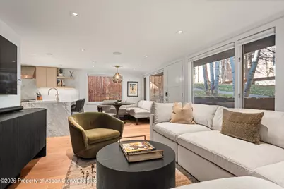 731 S Mill Street #Unit 2d, Aspen, CO 81611 - Photo 8