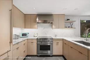 731 S Mill St, Aspen, CO 81611 - Photo 6