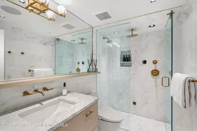 731 S Mill Street #Unit 2d, Aspen, CO 81611 - Photo 12
