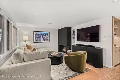 731 S Mill Street #Unit 2d, Aspen, CO 81611 - Photo 2