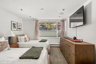 731 S Mill St, Aspen, CO 81611 - Photo 24