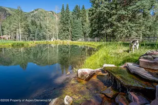 285 Conundrum Rd, Aspen, CO 81611 - Photo 10