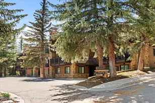 650 S Monarch St, Aspen, CO 81611 - Photo 24
