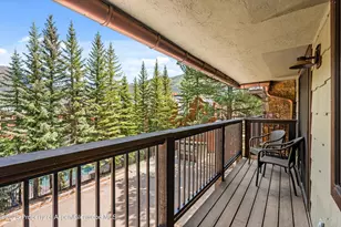 650 S Monarch St, Aspen, CO 81611 - Photo 30