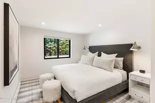 650 S Monarch St, Aspen, CO 81611 - Photo 20