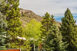 30 Anderson Ln, Snowmass Village, CO 81615 - Photo 16