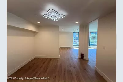 601 E Hopkins Avenue #202, Aspen, CO 81611 - Photo 6