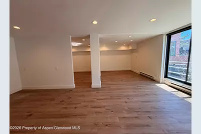 601 E Hopkins Avenue #202, Aspen, CO 81611 - Photo 8
