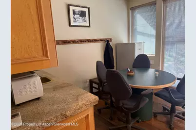 617 W Main Street #B, Aspen, CO 81611 - Photo 6