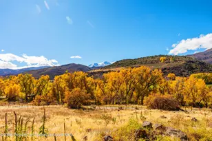 422 Sopris Creek Rd, Basalt, CO 81621 - Photo 46