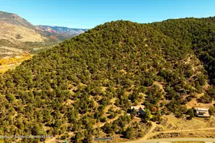 422 Sopris Creek Rd, Basalt, CO 81621 - Photo 26