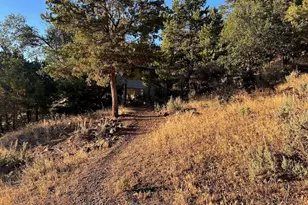 422 Sopris Creek Rd, Basalt, CO 81621 - Photo 64