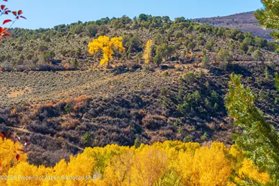 422 Sopris Creek Road, Basalt, CO 81621 - Photo 48