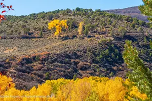 422 Sopris Creek Rd, Basalt, CO 81621 - Photo 48