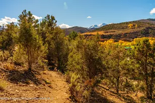 422 Sopris Creek Rd, Basalt, CO 81621 - Photo 42