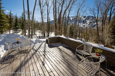 1036 Red Mountain Road, Aspen, CO 81611 - Photo 26
