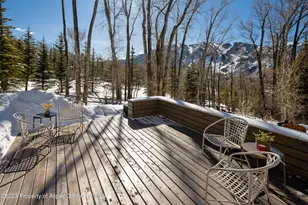 1036 Red Mountain Rd, Aspen, CO 81611 - Photo 26