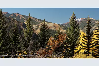 1036 Red Mountain Road, Aspen, CO 81611 - Photo 36