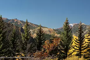 1036 Red Mountain Rd, Aspen, CO 81611 - Photo 36