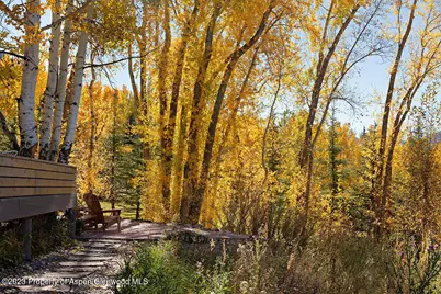 1036 Red Mountain Road, Aspen, CO 81611 - Photo 30