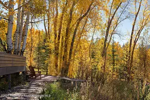 1036 Red Mountain Rd, Aspen, CO 81611 - Photo 30