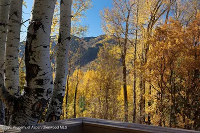1036 Red Mountain Road, Aspen, CO 81611 - Photo 32
