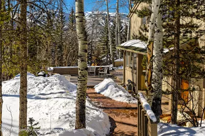 1036 Red Mountain Road, Aspen, CO 81611 - Photo 24